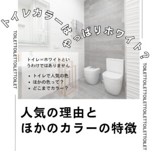 トイレカラーはやっぱりホワイト？人気の理由とほかのカラーの特徴